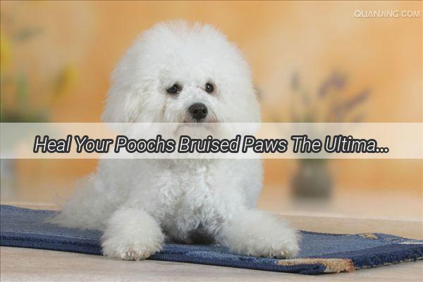 Heal Your Poochs Bruised Paws The Ultimate Guide to Nutritional Remedies